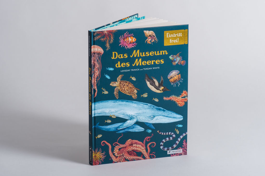 Weitere Ansicht: Das Museum des Meeres | Loveday Trinick, Teagan White