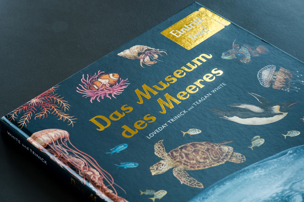 Weitere Ansicht: Das Museum des Meeres | Loveday Trinick, Teagan White