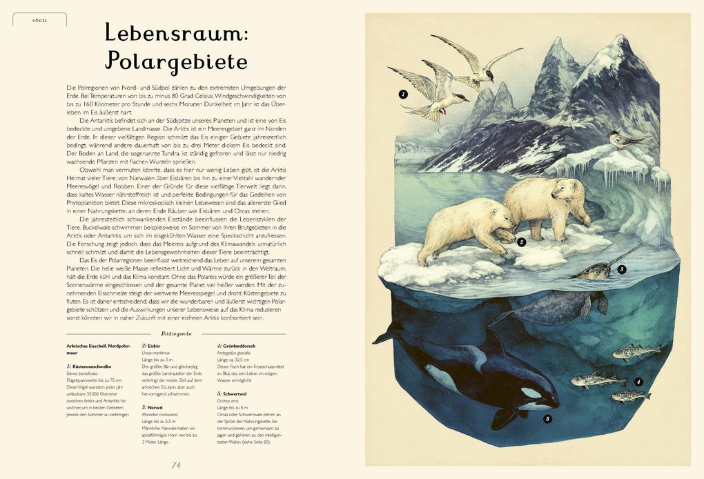 Weitere Ansicht: Das Museum des Meeres | Loveday Trinick, Teagan White