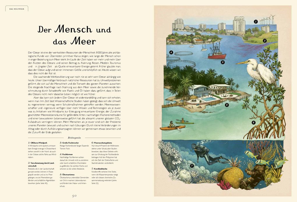 Weitere Ansicht: Das Museum des Meeres | Loveday Trinick, Teagan White