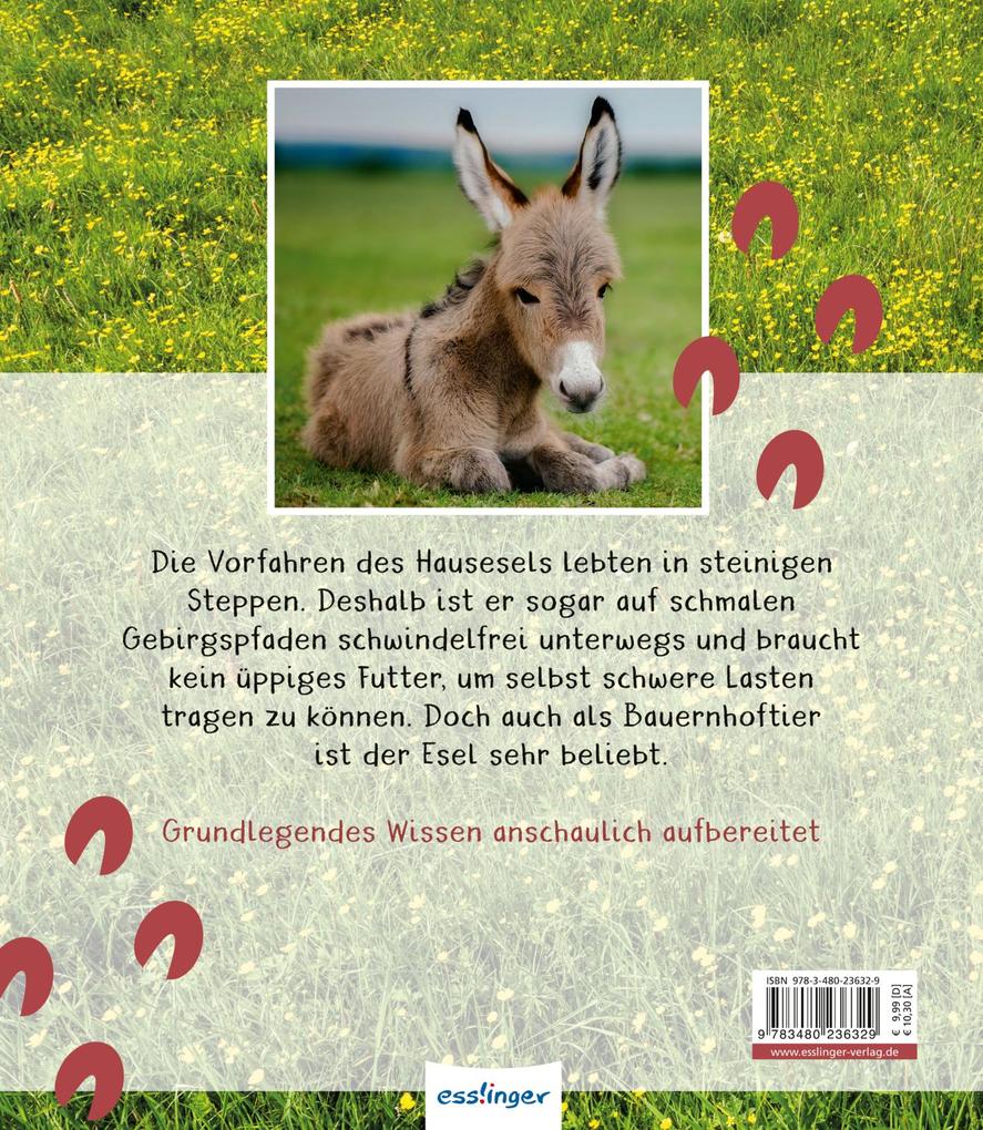 Weitere Ansicht: Meine große Tierbibliothek: Der Esel | Axel Gutjahr