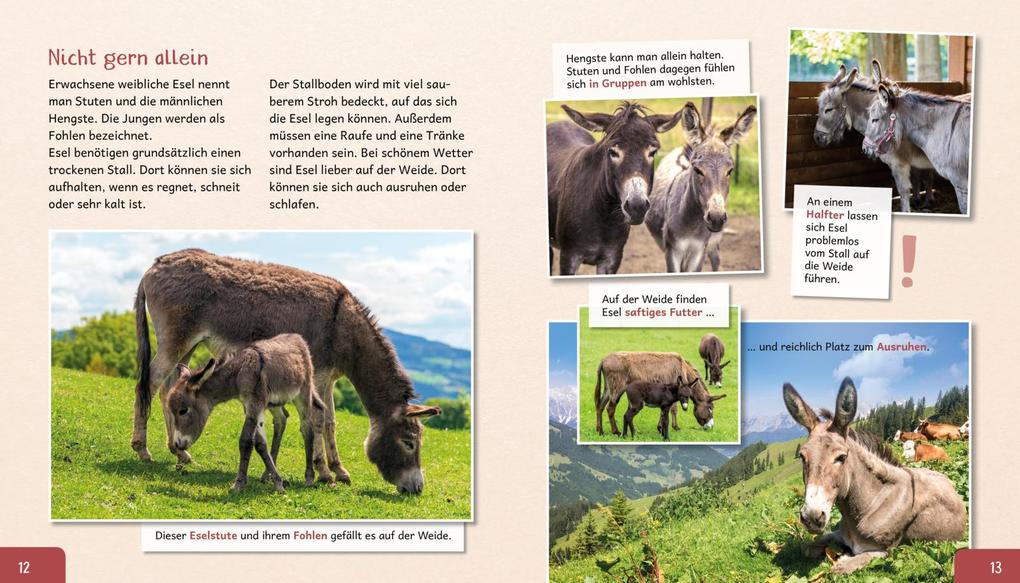 Weitere Ansicht: Meine große Tierbibliothek: Der Esel | Axel Gutjahr