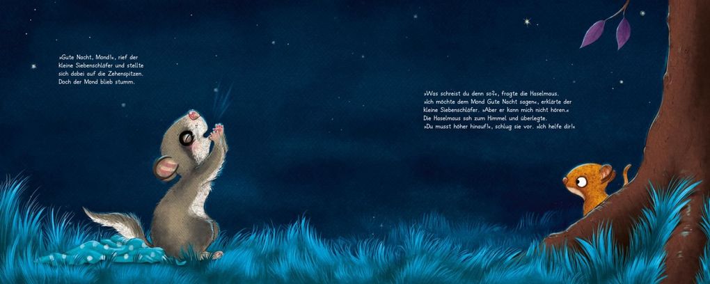 Weitere Ansicht: Der kleine Siebenschläfer 6: Die Geschichte vom kleinen Siebenschläfer, der dem Mond Gute Nacht sagen wollte | Sabine Bohlmann