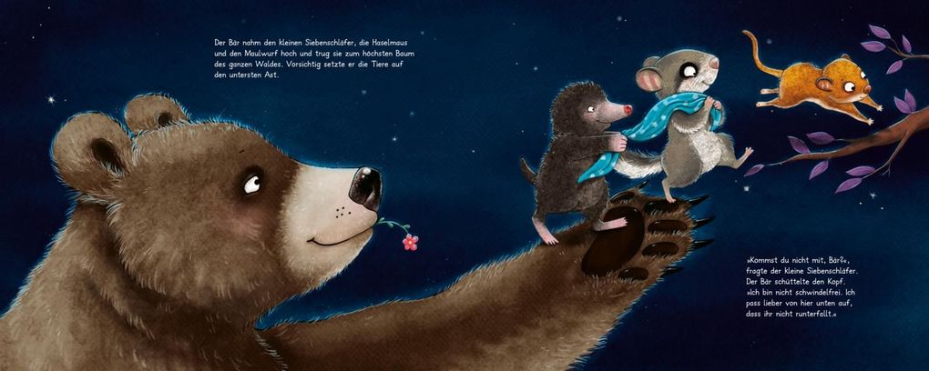 Weitere Ansicht: Der kleine Siebenschläfer 6: Die Geschichte vom kleinen Siebenschläfer, der dem Mond Gute Nacht sagen wollte | Sabine Bohlmann