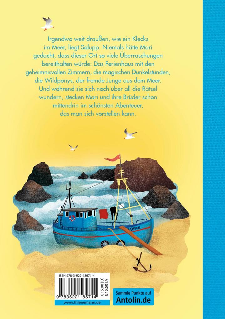 Weitere Ansicht: Solupp 1: Sommer auf Solupp | Annika Scheffel