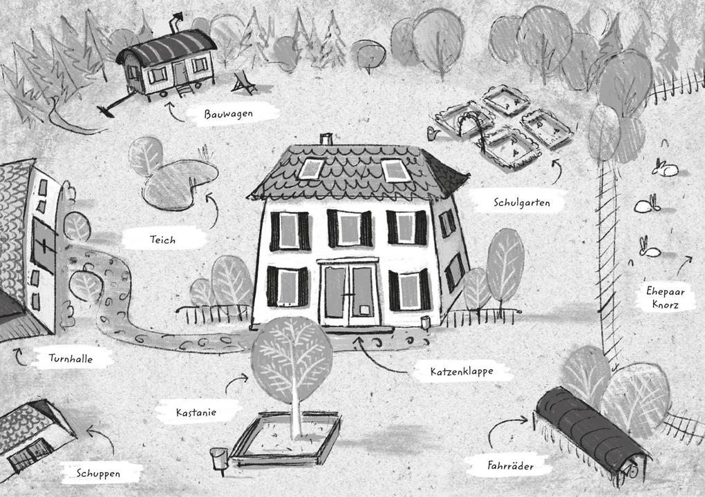 Weitere Ansicht: Die Tierwandler 3: Ein Kroko will kuscheln | Martina Baumbach