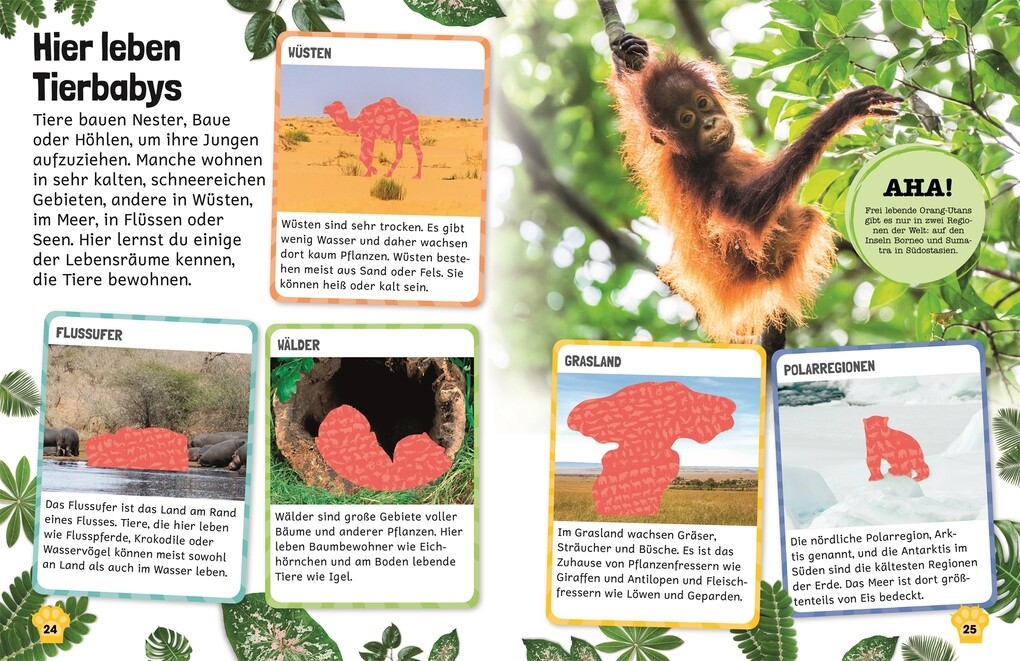 Weitere Ansicht: Sticker-Lexikon. Tierkinder