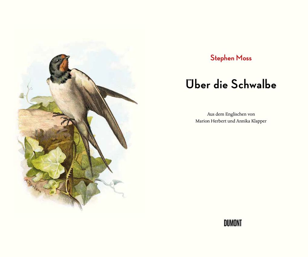 Weitere Ansicht: Über die Schwalbe | Stephen Moss