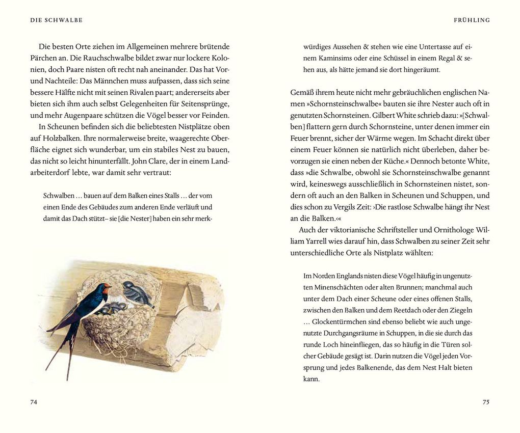 Weitere Ansicht: Über die Schwalbe | Stephen Moss