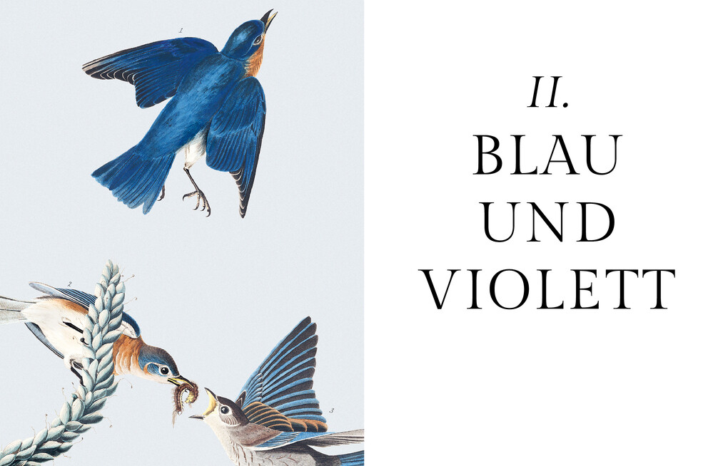 Weitere Ansicht: Die Farben der Natur | Patrick Baty