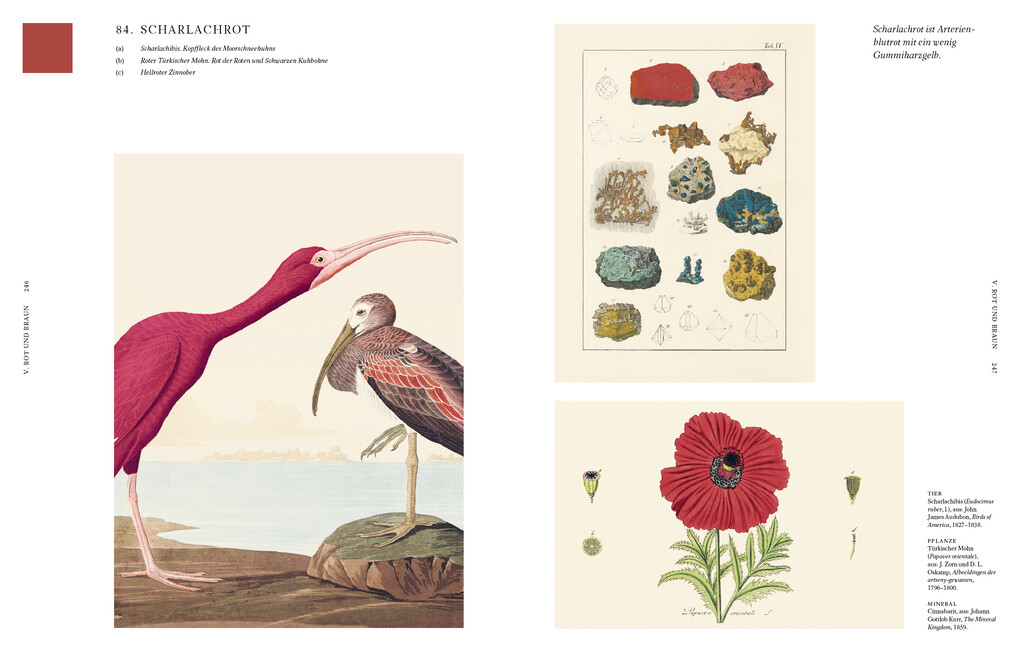 Weitere Ansicht: Die Farben der Natur | Patrick Baty