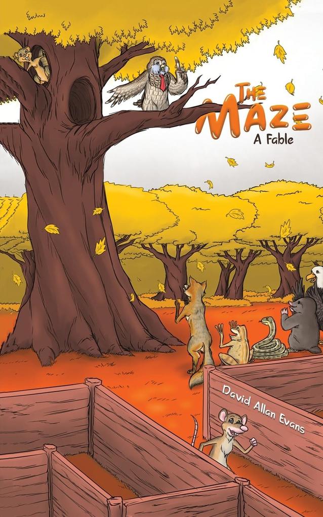 Produktbild: The Maze | DAVID ALLAN EVANS