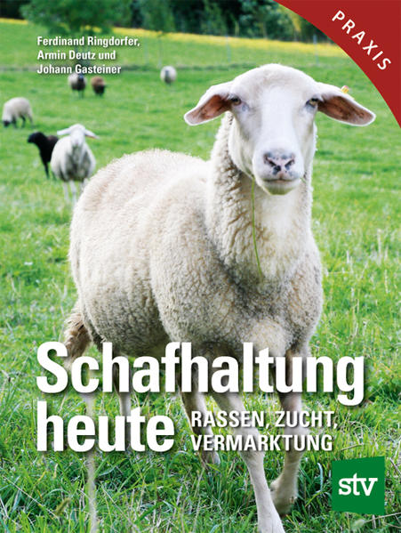 Produktbild: Schafhaltung heute | Ferdinand Ringdorfer, Armin Deutz, Johann Gasteiner