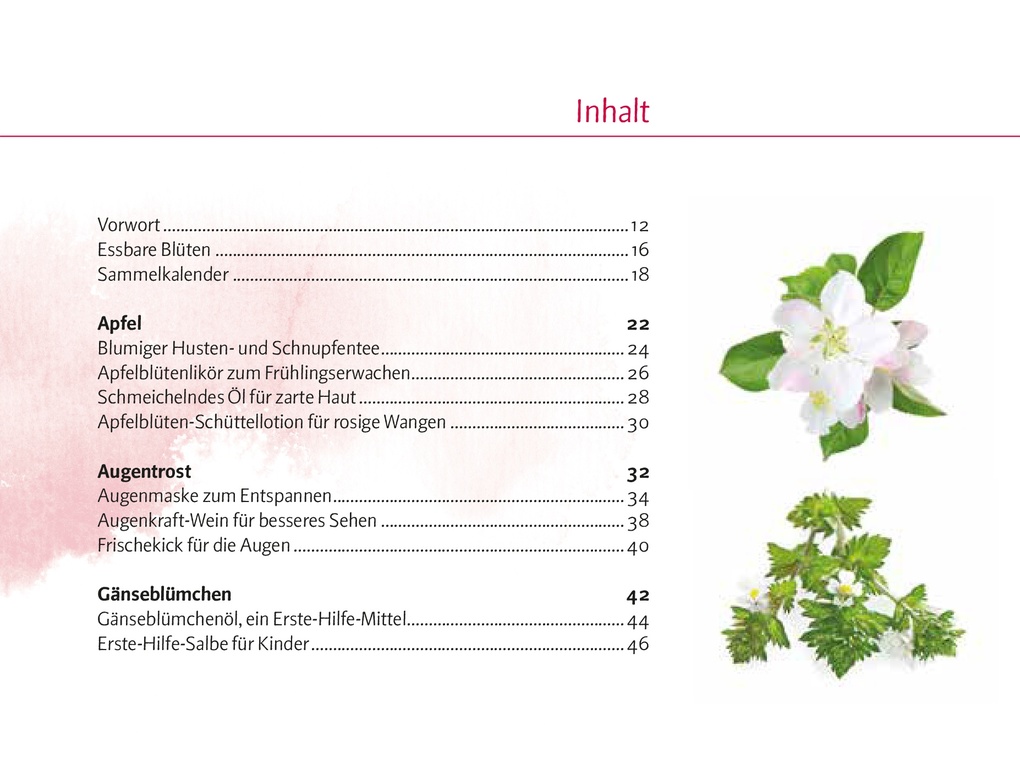 Weitere Ansicht: Verlockende Blüten | Doris Kern