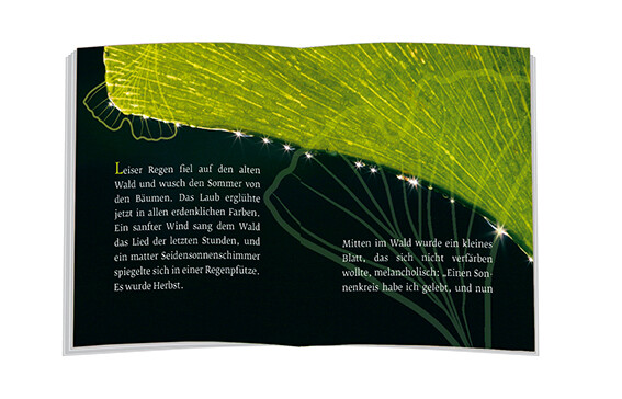 Weitere Ansicht: Das Märchen vom Ginkgoblatt | Ulrich Peters