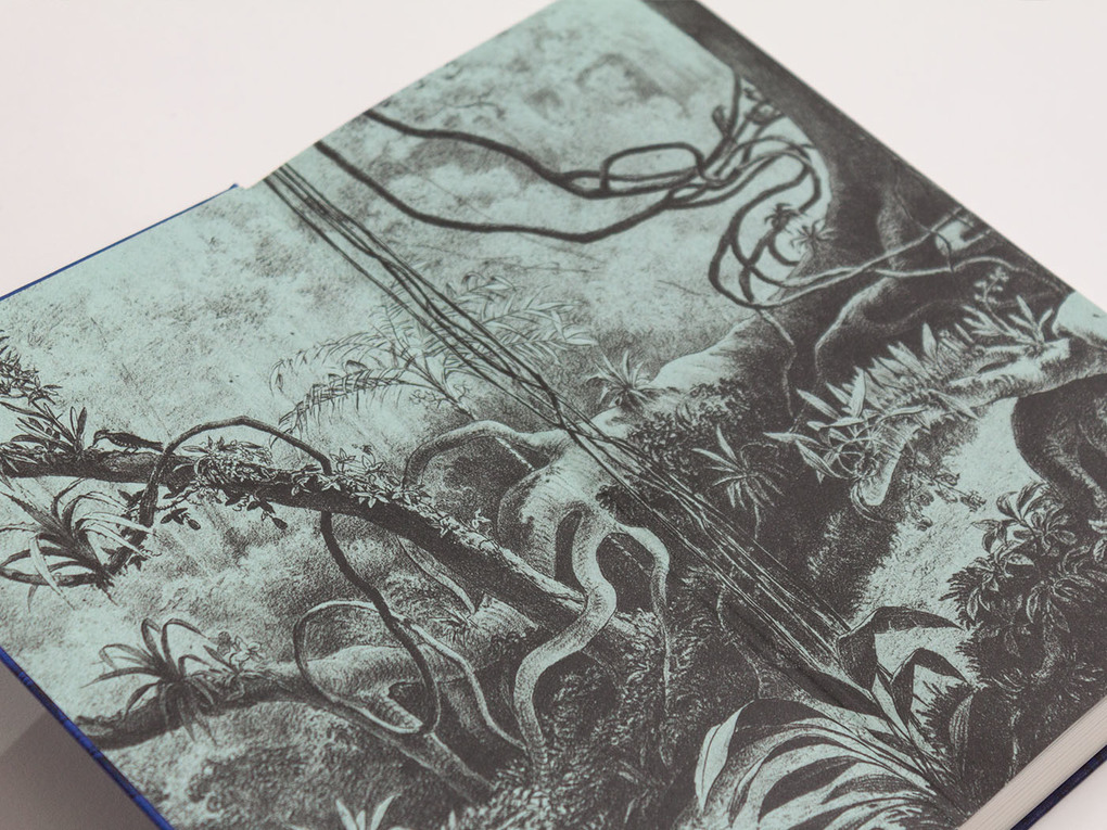 Weitere Ansicht: Unser Rousseau | Sabine Appel