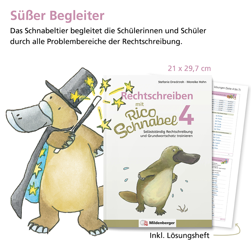 Weitere Ansicht: Rechtschreiben mit Rico Schnabel, Klasse 4 | Stefanie Drecktrah, Mareike Hahn