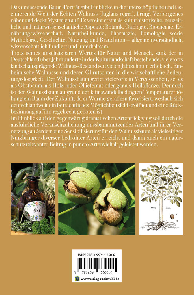 Weitere Ansicht: Die Echte Walnuss | Corinna Günzel