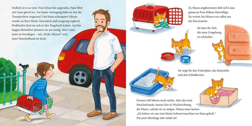 Weitere Ansicht: LESEMAUS 175: Die kleine Katze - alles, was du wissen willst | Susa Hämmerle