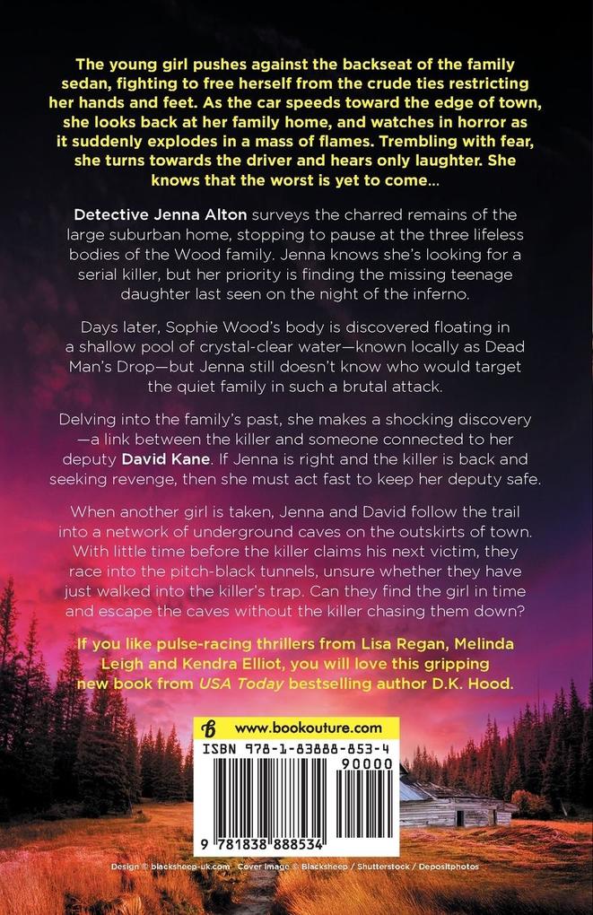 Weitere Ansicht: Promises in the Dark | D. K. Hood