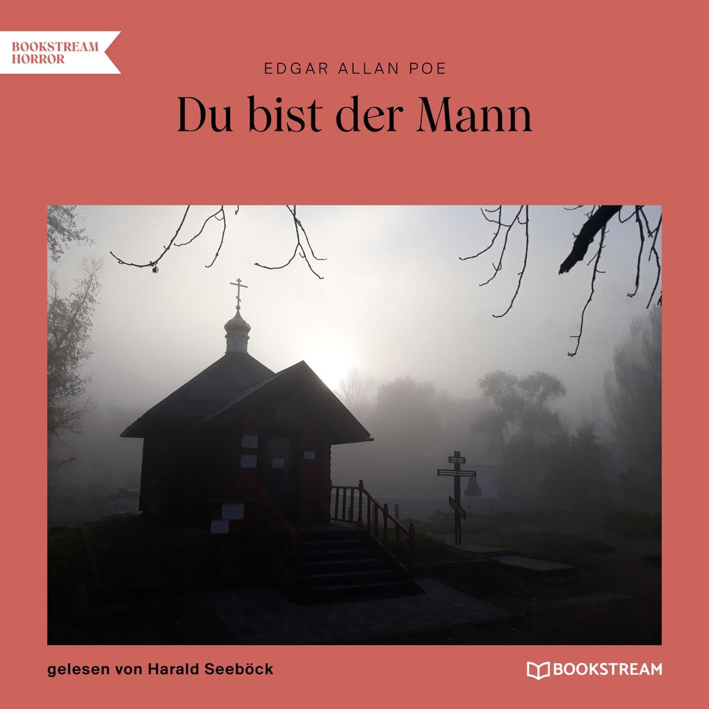 Produktbild: Du bist der Mann | Edgar Allan Poe
