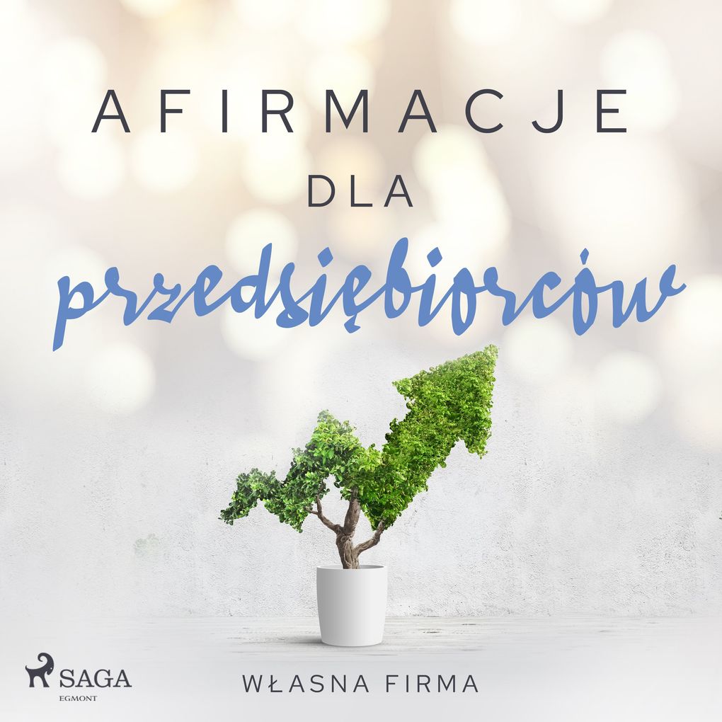 Produktbild: Afirmacje dla przedsibiorców Wasna firma | Maxx-audio