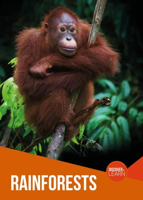 Produktbild: Rainforests | Joanna Brundle
