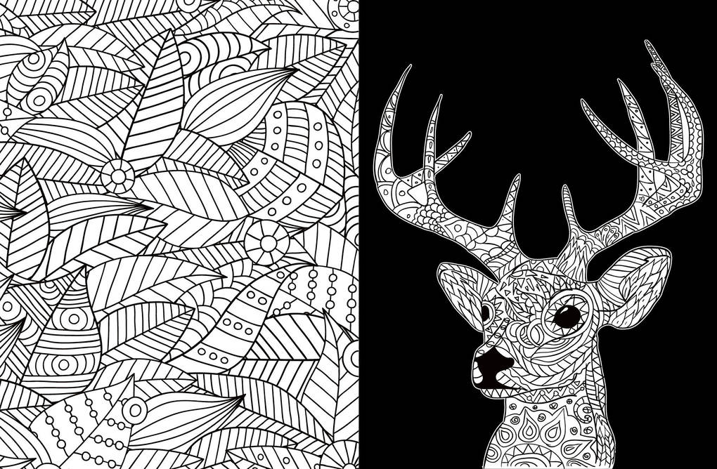 Weitere Ansicht: Black Edition: Inspiration Waldtiere