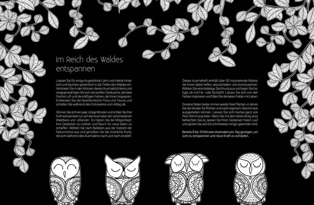 Weitere Ansicht: Black Edition: Inspiration Waldtiere