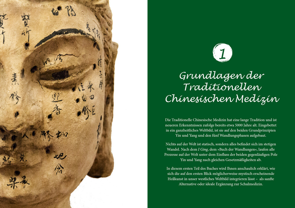 Weitere Ansicht: Heilen mit TCM | Julia Spenner
