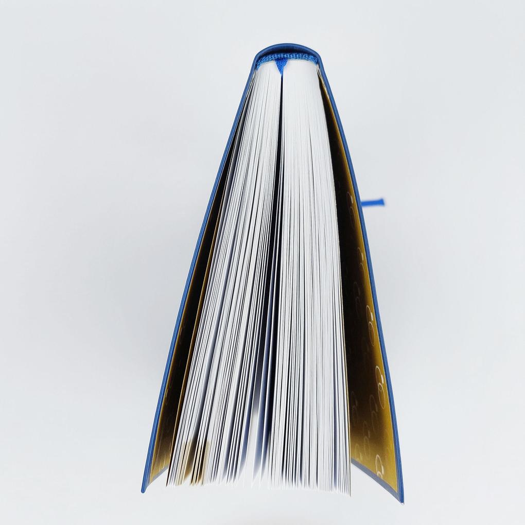 Weitere Ansicht: Dein Wedding Planner | Birgit Wilde