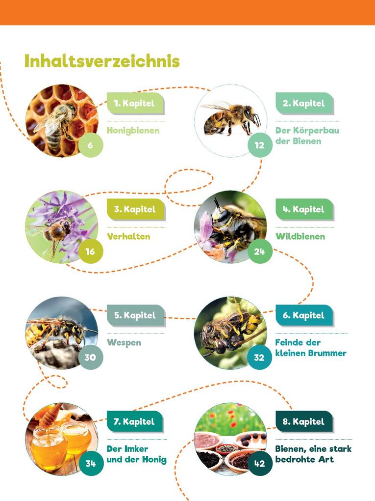Weitere Ansicht: Leselauscher Wissen: Bienen (inkl. CD) | Melanie Braun