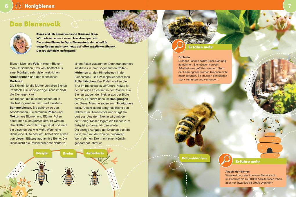 Weitere Ansicht: Leselauscher Wissen: Bienen (inkl. CD) | Melanie Braun