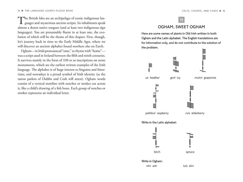 Weitere Ansicht: Language Lover's Puzzle Book | Alex Bellos