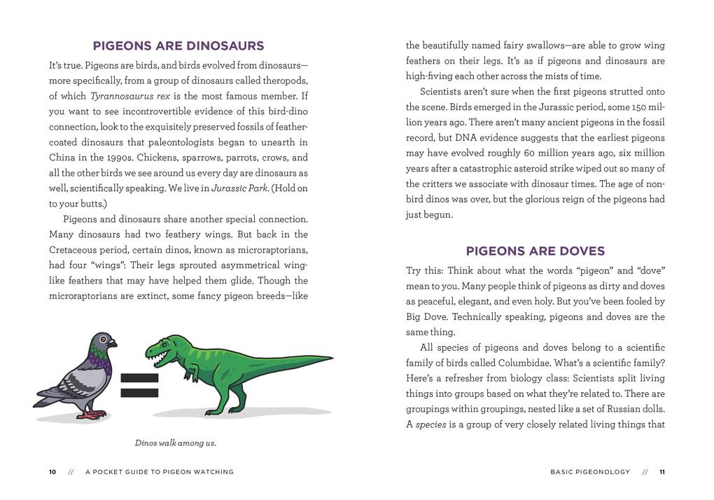 Weitere Ansicht: A Pocket Guide to Pigeon Watching | Rosemary Mosco