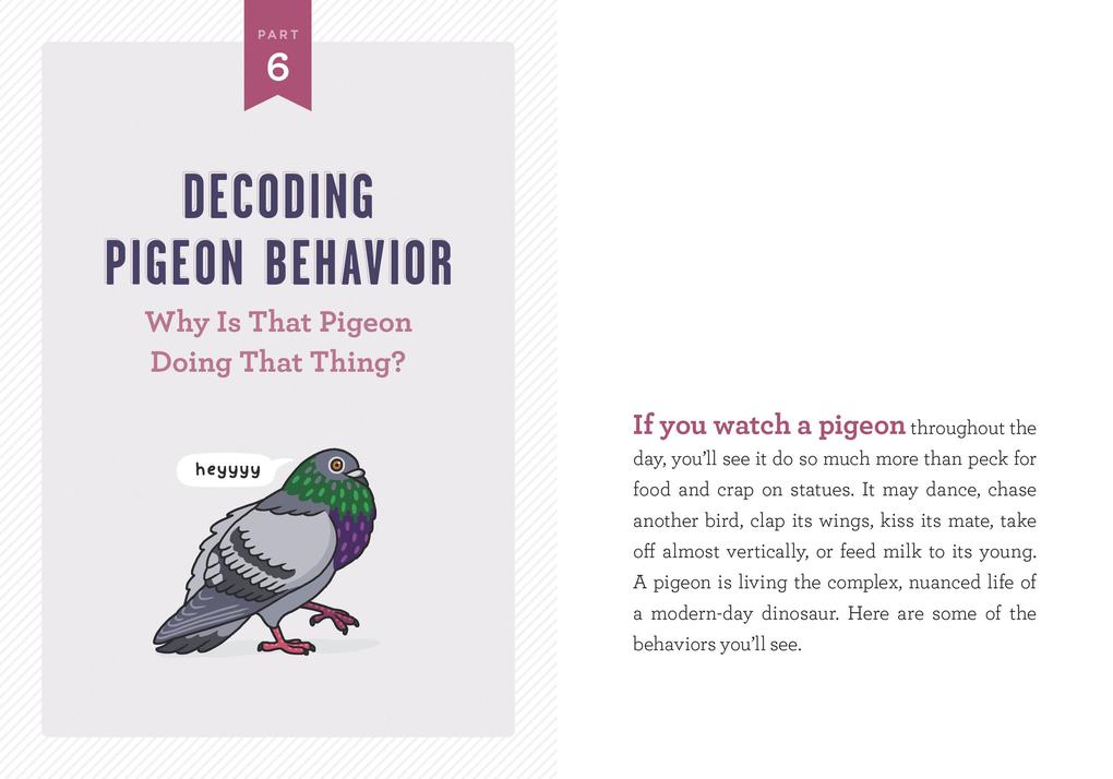 Weitere Ansicht: A Pocket Guide to Pigeon Watching | Rosemary Mosco