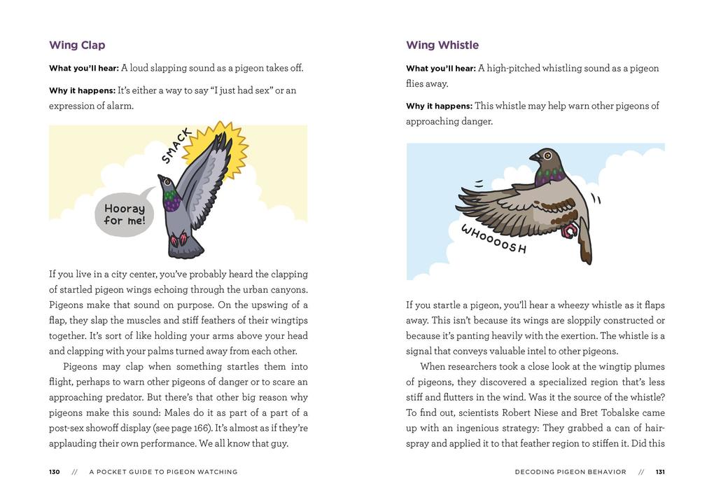 Weitere Ansicht: A Pocket Guide to Pigeon Watching | Rosemary Mosco
