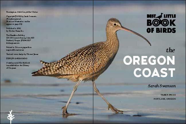 Weitere Ansicht: Best Little Book of Birds | Sarah Swanson