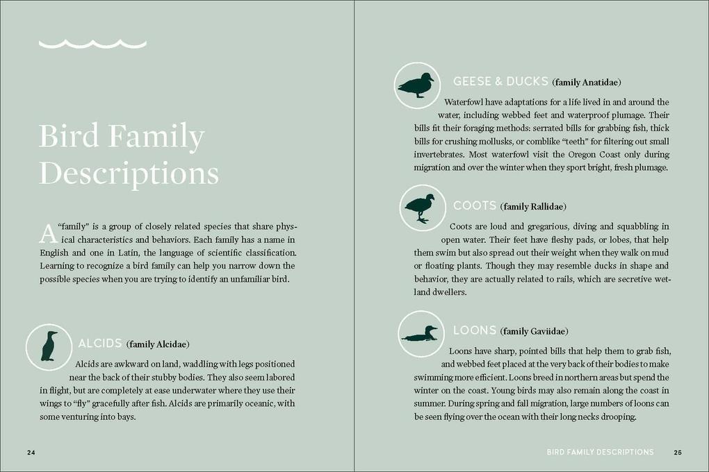 Weitere Ansicht: Best Little Book of Birds | Sarah Swanson