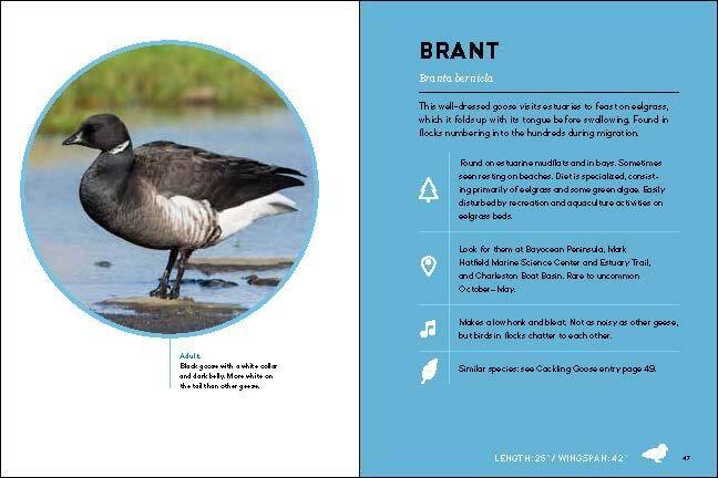 Weitere Ansicht: Best Little Book of Birds | Sarah Swanson