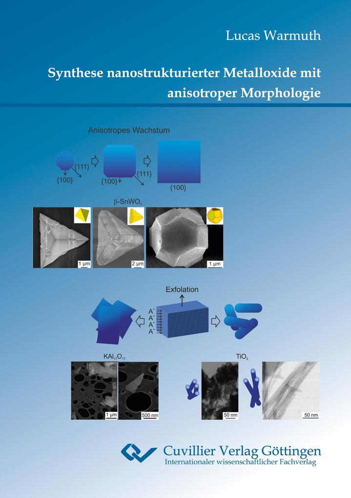 Produktbild: Synthese nanostrukturierter Metalloxide mit anisotroper Morphologie | Lucas Warmuth