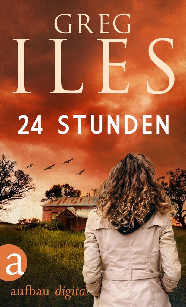 Produktbild: 24 Stunden | Greg Iles