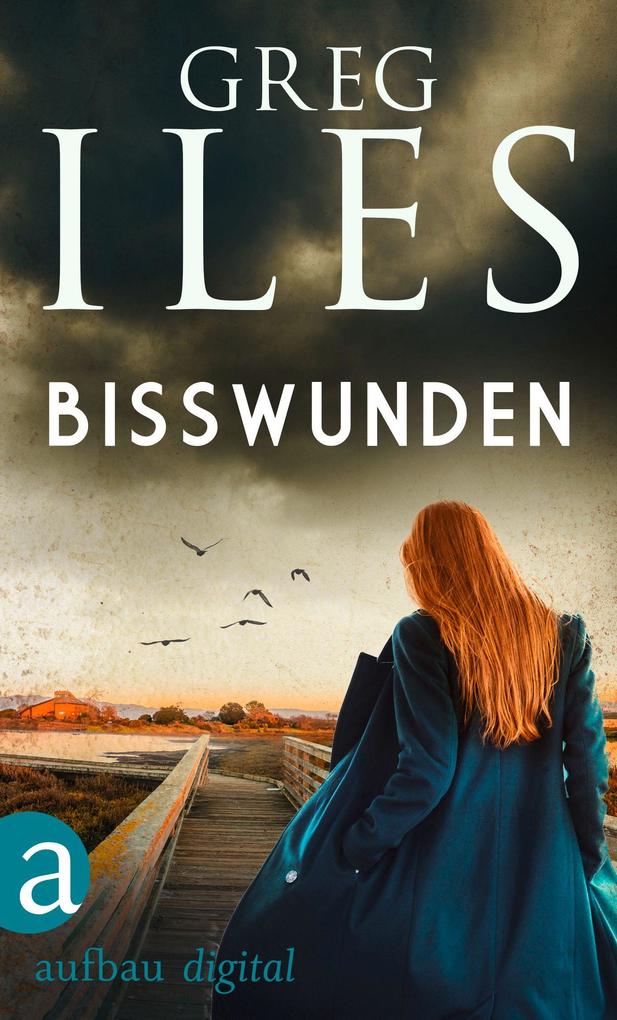 Produktbild: Bisswunden | Greg Iles