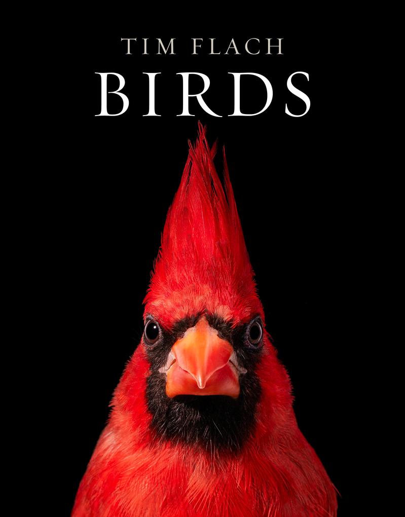 Produktbild: Birds | Tim Flach