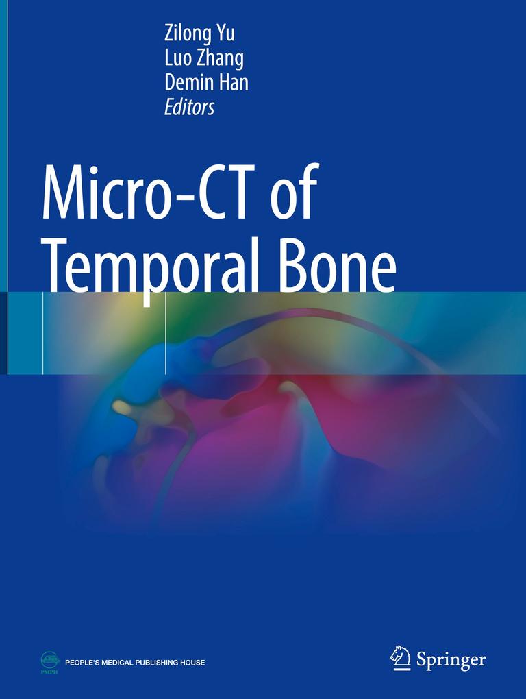 Micro-CT of Temporal Bone als Buch (gebunden)