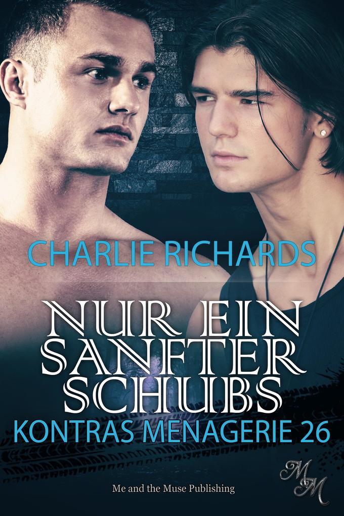 Produktbild: Nur ein sanfter Schubs | Charlie Richards