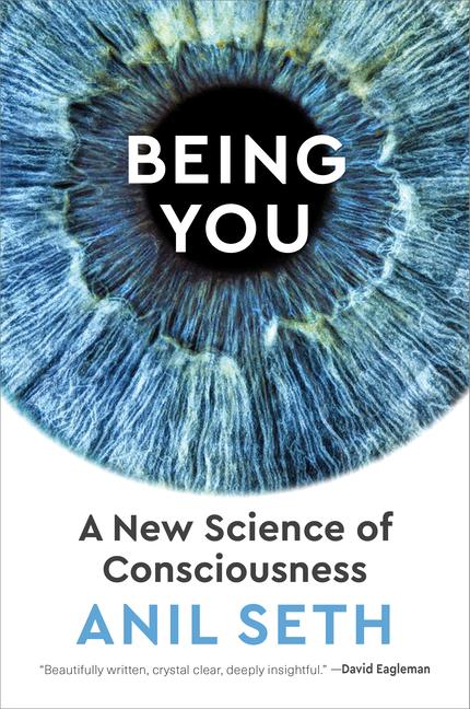 Produktbild: Being You | Anil Seth