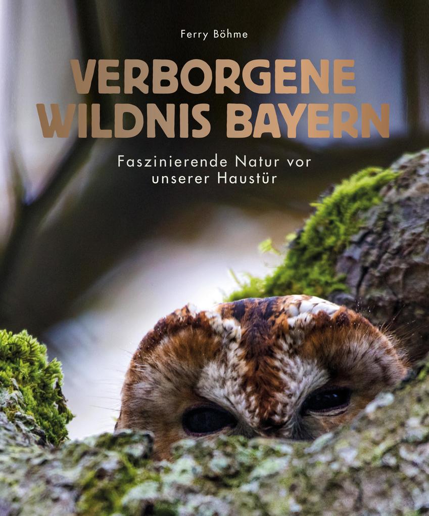 Produktbild: Verborgene Wildnis Bayern | Ferry Böhme