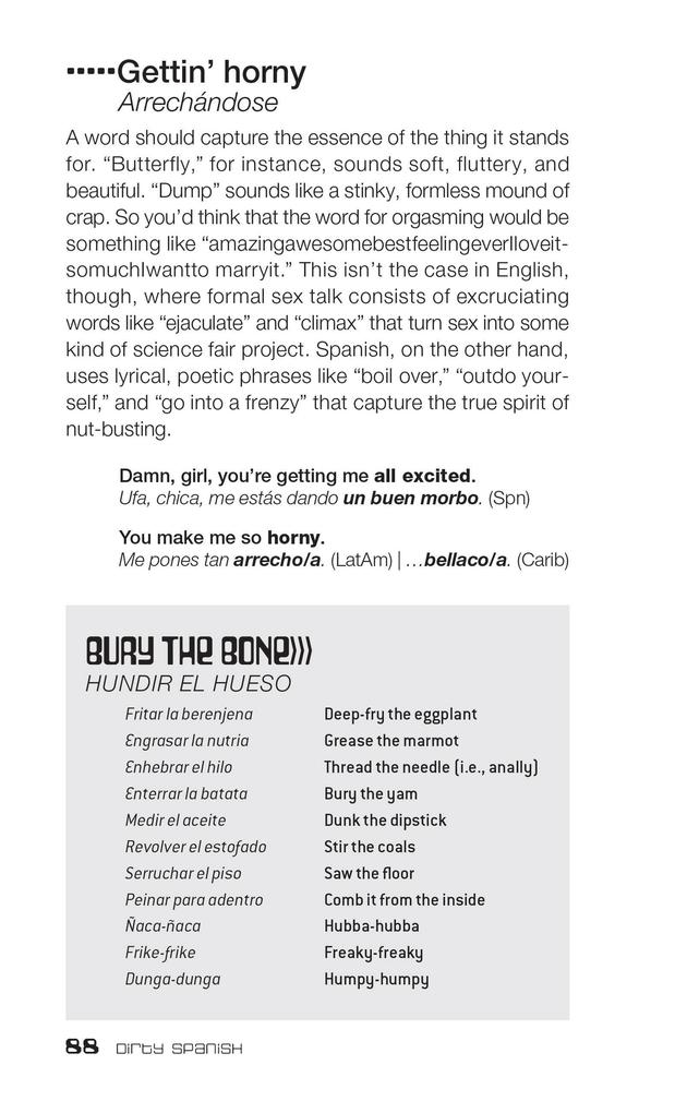 Weitere Ansicht: Dirty Spanish: Third Edition | Juan Caballero