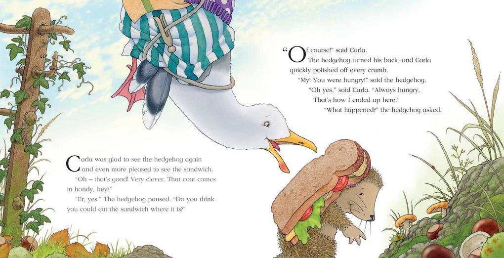 Weitere Ansicht: A Flying Visit | Nick Butterworth
